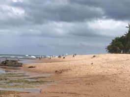 Inema aponta 12 praias impróprias para banho em Salvador neste fim de semana; veja recomendações do instituto