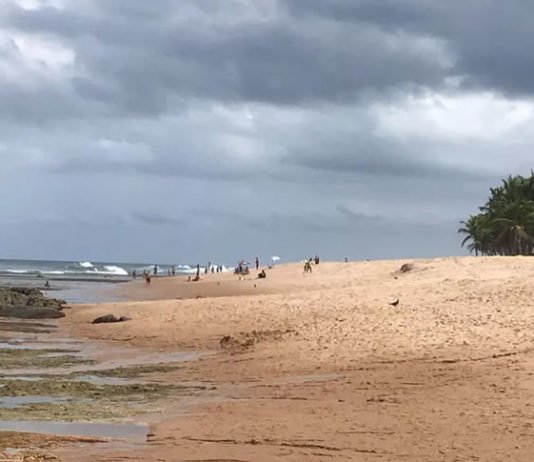 Inema aponta 12 praias impróprias para banho em Salvador neste fim de semana; veja recomendações do instituto