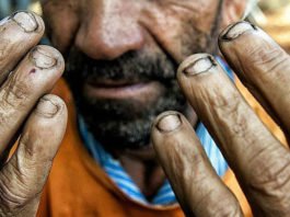 Brasil tem mais de 2,7 mil pessoas resgatadas de trabalho análogo à escravidão em 2025, diz dados do governo