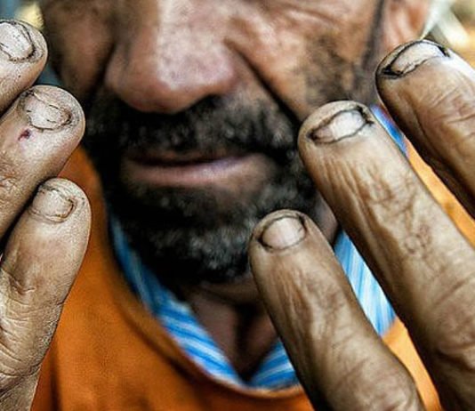 Brasil tem mais de 2,7 mil pessoas resgatadas de trabalho análogo à escravidão em 2025, diz dados do governo