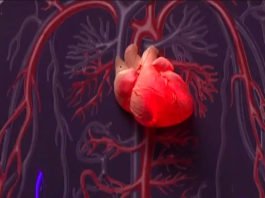 Câncer de coração existe: tumor raro pode ser confundido com falta de ar e exige cirurgia de altíssimo risco