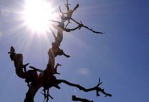 Oitos estados seguem em alerta de perigo para onda de calor, aponta o Inmet; veja mapa de altas temperaturas