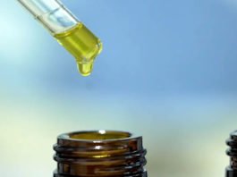 Anvisa apresenta proposta para regulamentar produção de cannabis medicinal no Brasil; texto ainda será analisado