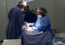 Bahia registra aumento de 47,44% no número de mamoplastias redutoras realizadas pelo SUS; saiba onde e como fazer