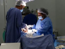 Bahia registra aumento de 47,44% no número de mamoplastias redutoras realizadas pelo SUS; saiba onde e como fazer