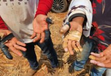 Denúncias de trabalho escravo atingem novo recorde no Brasil; construção civil e agronegócio concentram resgates