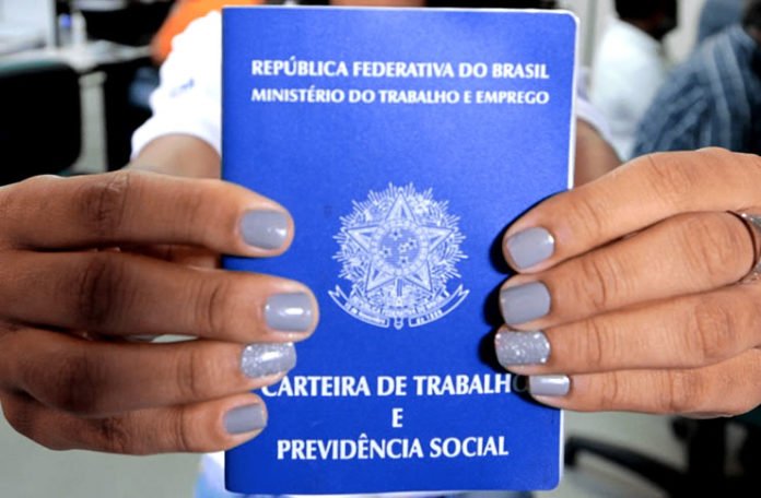 carteira