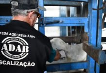 Adab abre concurso com 200 vagas e salários que podem chegar a R$ 7,4 mil reais na Bahia