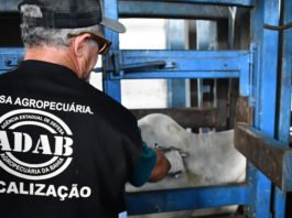 Adab abre concurso com 200 vagas e salários que podem chegar a R$ 7,4 mil reais na Bahia