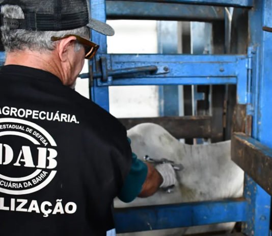 ADAB oferece 200 vagas para os cargos de níveis médio, técnico e superior com atuação na área de defesa agropecuária
