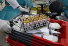 Campanha da Hemoba promove doação regular de sangue em toda Bahia e veja aqui critério para doar e quais unidades