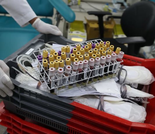 Torcidas de Bahia e Vitória se unem em campanha de doação de sangue que vai acontece no interior da Bahia; veja mais