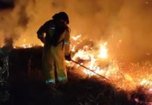 Pré-COP: Brasil propõe resposta global a incêndios florestais