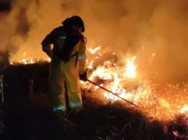 Bombeiros já atuam há mais de 80 dias para combater incêndios no oeste da Bahia; 19 equipes estão mobilizadas