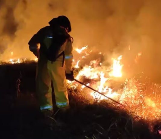 Combate à seca: governo decreta programa ‘Bahia Sem Fogo’ para frear incêndios