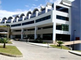 Líder do CV, advogada é presa em Feira de Santana durante Operação Skywalker; 32 são denunciados pelo MP