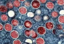 Os três vírus que podem desencadear novas crises em 2026; mundo mal se recuperou da pandemia de covid-19