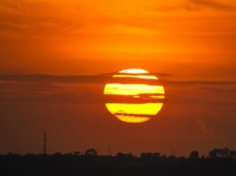 Grupo de cientistas alertam para calor na Copa do Mundo e dizem que Fifa coloca jogadores em risco; saiba mais