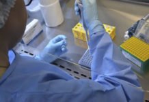 Ebola avança no Congo e já deixa 18 mortos, alerta OMS