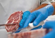 Carne, mel, madeira, peixe e mais: as vendas brasileiras já prejudicadas por anúncio de tarifa de Trump
