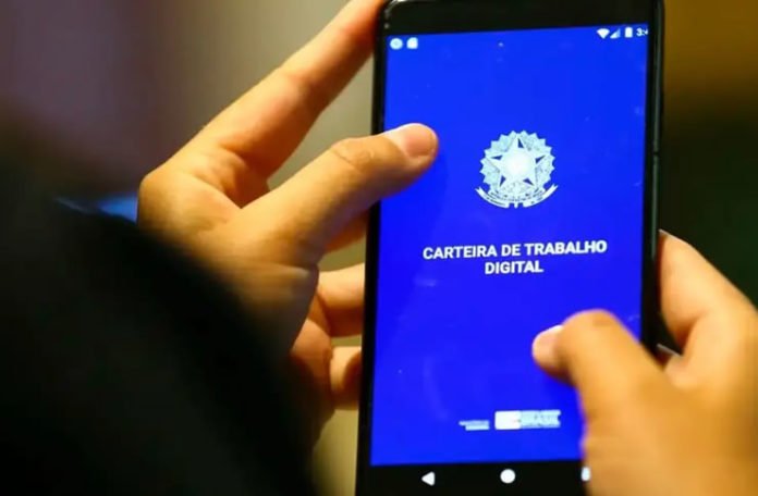 carteira