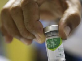 Gripe pode chegar mais cedo e com maior impacto em 2026, alerta Organização Pan-Americana da Saúde