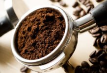 Estudo de universidade mineira usa extrato de café para combater mosquito da dengue com quase 100% de eficácia