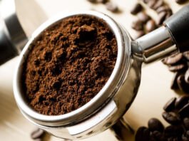Estudo de universidade mineira usa extrato de café para combater mosquito da dengue com quase 100% de eficácia
