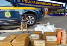 Dados do Anuário da Segurança Pública revela que cocaína apreendida na Bahia cresceu mais de 530% em 10 anos; veja