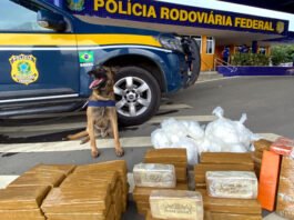 Dados do Anuário da Segurança Pública revela que cocaína apreendida na Bahia cresceu mais de 530% em 10 anos; veja