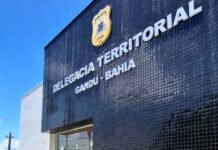 Suspeito de homicídio foi preso após matar parceiro de crimes patrimoniais em Gandu: morte é motivada por disputa relacionada à divisão dos lucros; confira