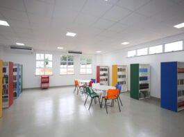 Apenas 15% das escolas públicas brasileiras têm psicólogos