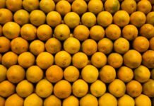 O caminho do suco de laranja brasileiro até a mesa dos americanos nos Estados Unidos; Brasil é líder mundial