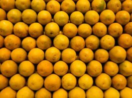 Mesmo de fora, suco de laranja é afetado pelo tarifaço nos subprodutos