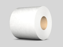 Não se joga no vaso: o papel higiênico no Brasil é diferente?