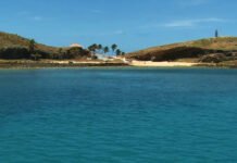 Falta de proteção ameaça biodiversidade no entorno de Abrolhos, aponta estudo
