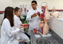 SEC convoca 427 professores do Ensino Profissional aprovados em processo seletivo