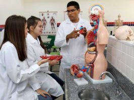 SEC convoca 427 professores do Ensino Profissional aprovados em processo seletivo