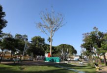 Bahia teve 9 das 10 cidades mais frias da região Nordeste nas últimas 24 horas, aponta o Inmet; confira a lista