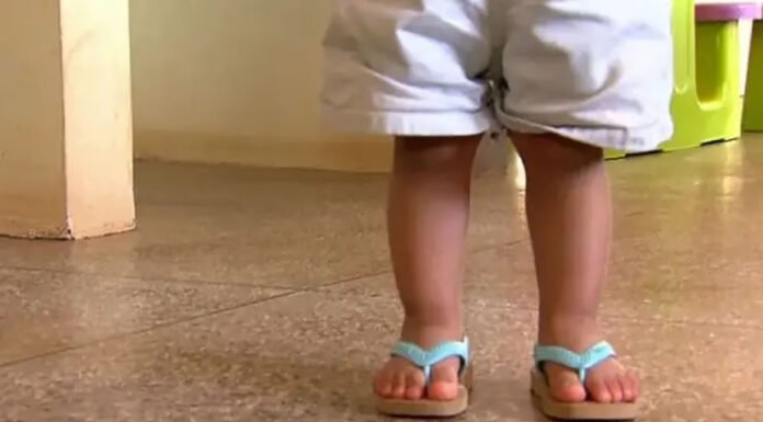 INSS começa a analisar pedidos de pensão a órfãos de feminicídio; veja as regras e como pedir benefício