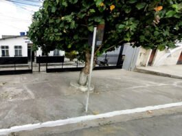 Suspeito de abusar de criança de 3 anos detido pela Polícia Militar em Muniz Ferreira já foi liberado após exames no DPT em Santo Antônio de Jesus; confira