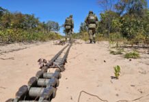 Cerrado baiano registra redução de 7% na área sob alertas de desmatamento entre agosto de 2024 e julho de 2025