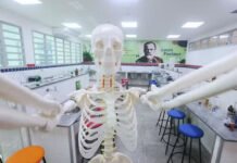 Óleo para ansiedade e cacto virando bioplástico: conheça projetos de pesquisa desenvolvidos por estudantes baianos