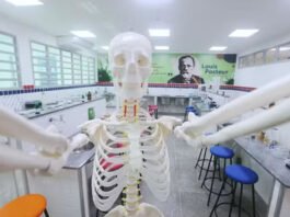 Óleo para ansiedade e cacto virando bioplástico: conheça projetos de pesquisa desenvolvidos por estudantes baianos