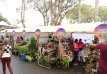 Evento de incentivo ao agronegócio no recôncavo da Bahia, a ExpoCruz 2025 vai ser realizada de 2 a 5 de outubro e promete novidades, diz prefeitura; confira