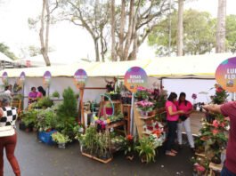 Evento de incentivo ao agronegócio no recôncavo da Bahia, a ExpoCruz 2025 vai ser realizada de 2 a 5 de outubro e promete novidades, diz prefeitura; confira