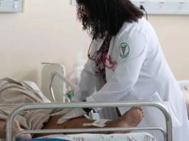 Veja: Processos contra fisioterapeutas e veterinários crescem em conselhos na Bahia; CRO-BA registra queda no estado