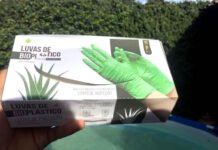 Estudantes baianas desenvolvem luvas biodegradáveis à base de sisal e conquistam reconhecimento nacional