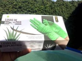 Estudantes baianas desenvolvem luvas biodegradáveis à base de sisal e conquistam reconhecimento nacional