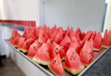 SEC convoca nutricionistas selecionados via Reda para atendimento das demandas da rede estadual